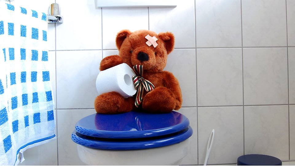 Nallebjörn som sitter på en toalettstol.